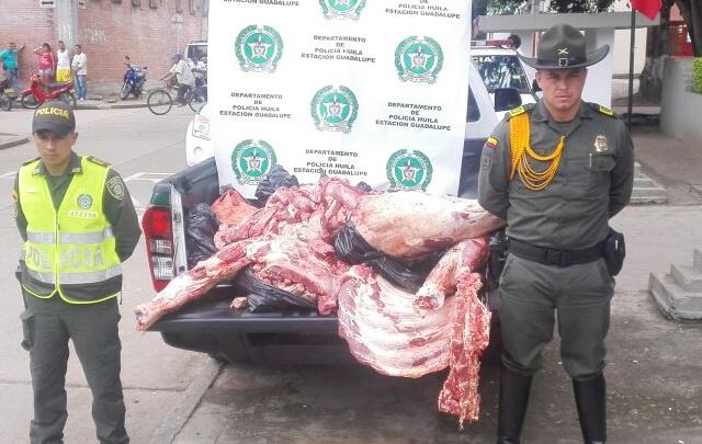 Incautan carne ilegal que se comercializaba en Guadalupe 2