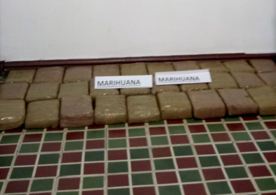 Autoridades incautaron cargamento de marihuana en Tarqui 1
