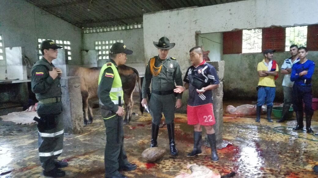 Mataderos clandestinos fueron descubiertos en el centro del Huila 2