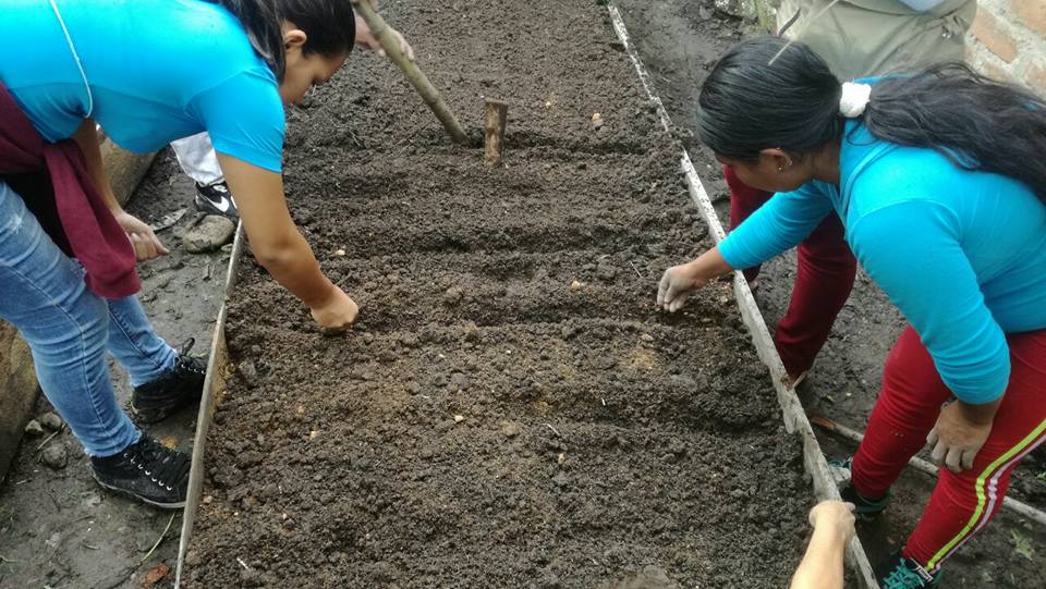 Con huertas caseras, combaten la desnutrición infantil en comunidades de La Plata 4