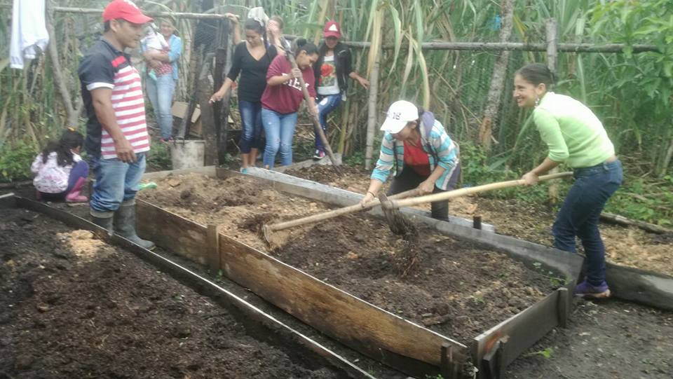 Con huertas caseras, combaten la desnutrición infantil en comunidades de La Plata 2