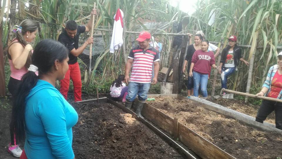 Con huertas caseras, combaten la desnutrición infantil en comunidades de La Plata 3