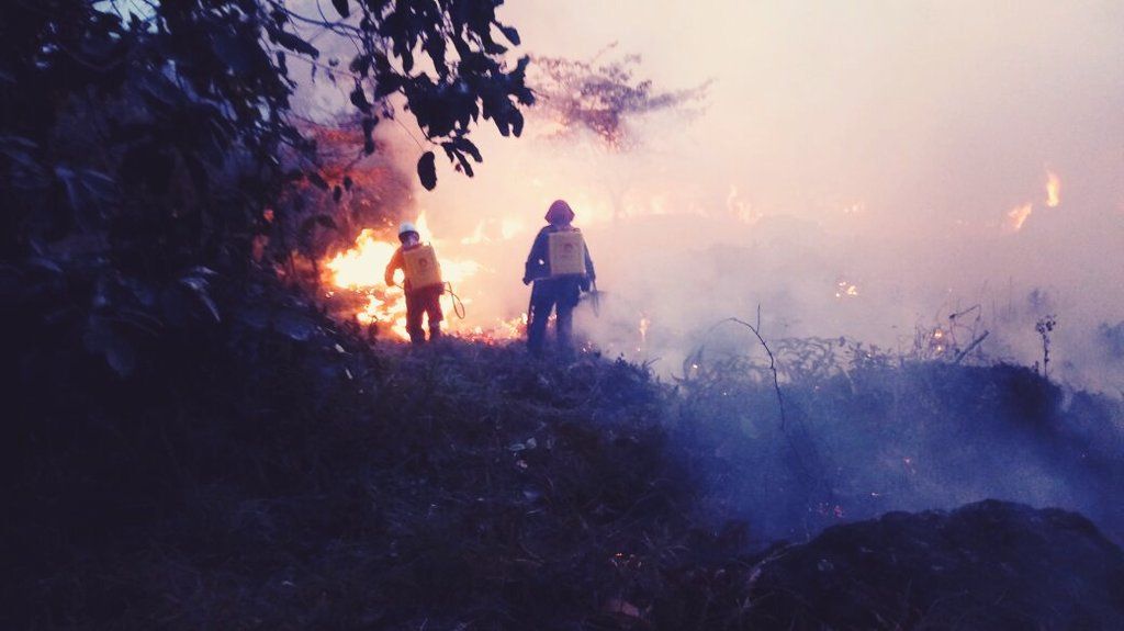 Ola de incendios forestales preocupa a las autoridades en Nátaga 3