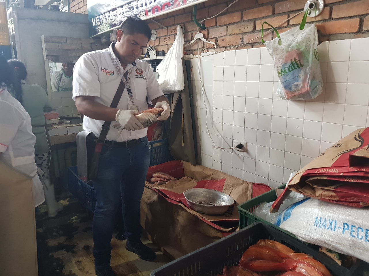 Inspección, vigilancia y control a la venta de pescado en Pitalito 2