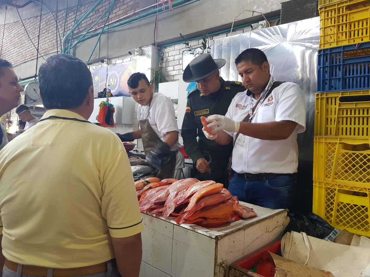 Inspección, vigilancia y control a la venta de pescado en Pitalito 3