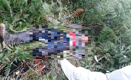 Con sustancia toxica, un adulto mayor se suicidó en vereda de Pitalito 1