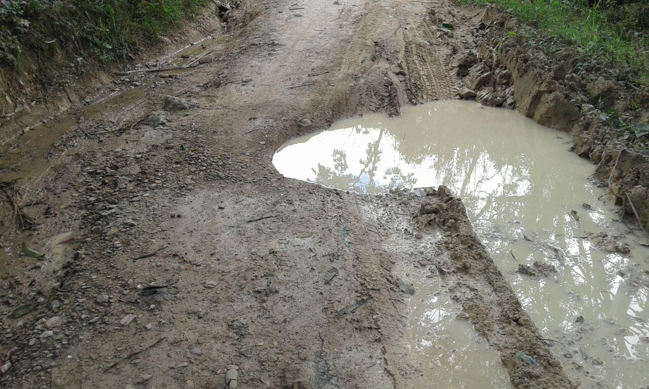 VIDEO: Intensas lluvias complican la movilidad en el sur del Huila 4