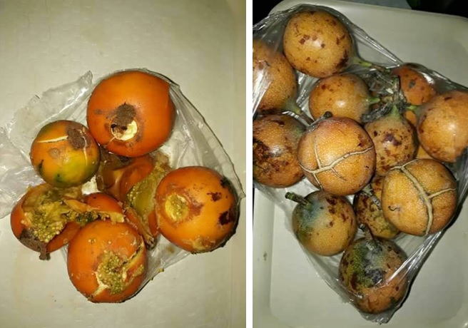 Alimentos en mal estado entrega el operador a restaurante comunitario en El Pital 1