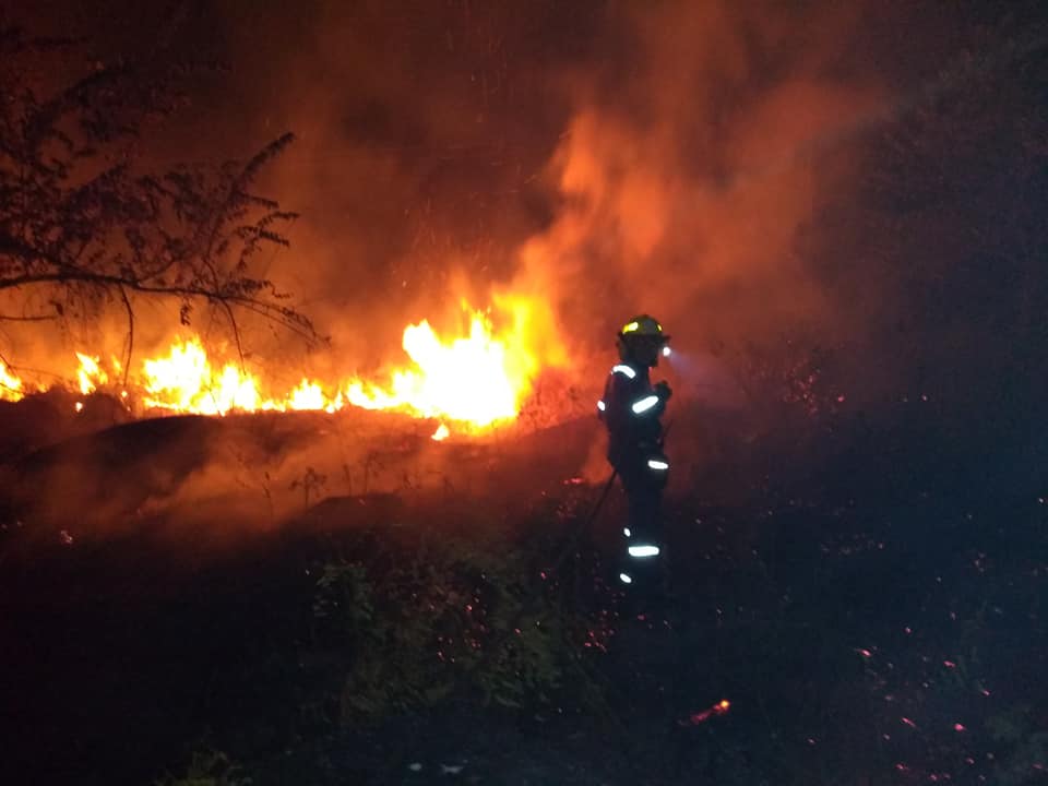 Incendio de cobertura vegetal registrado en Gigante arrasó 20 hectáreas 3