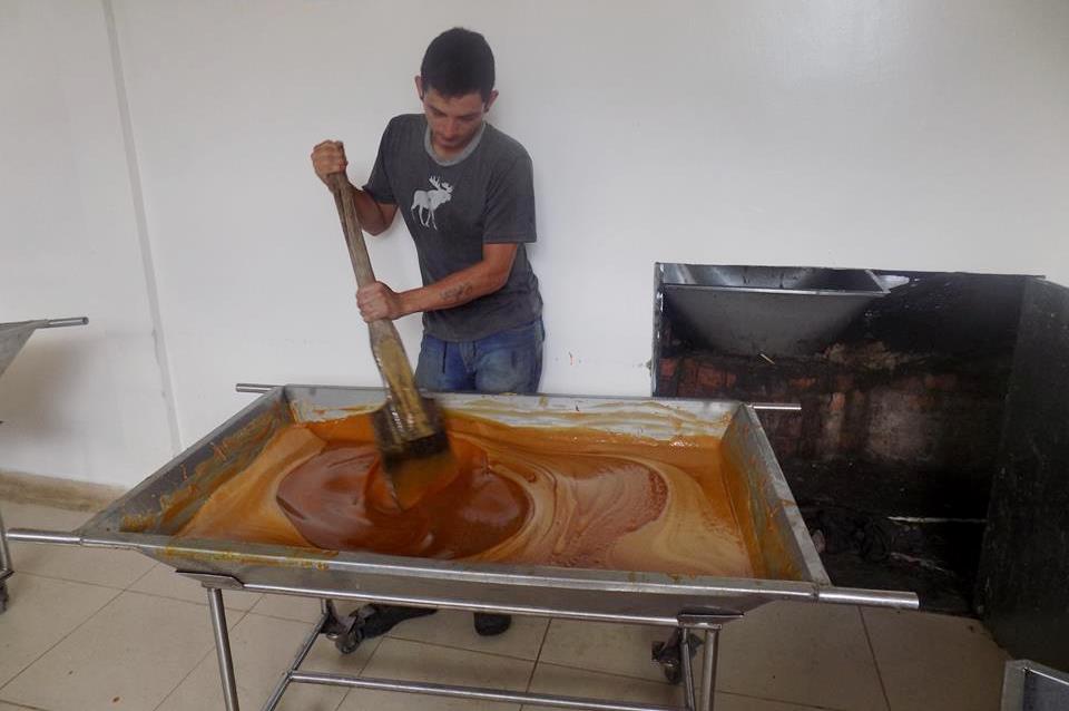 Paneleros de Paicol, recibieron ayudas para mejorar su producción 2