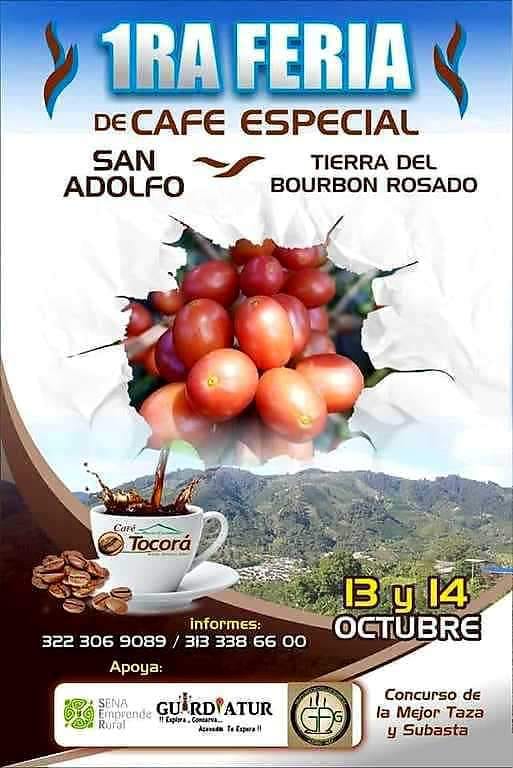 Cafeteros de San Adolfo Acevedo realizarán su primera feria de café especial 2