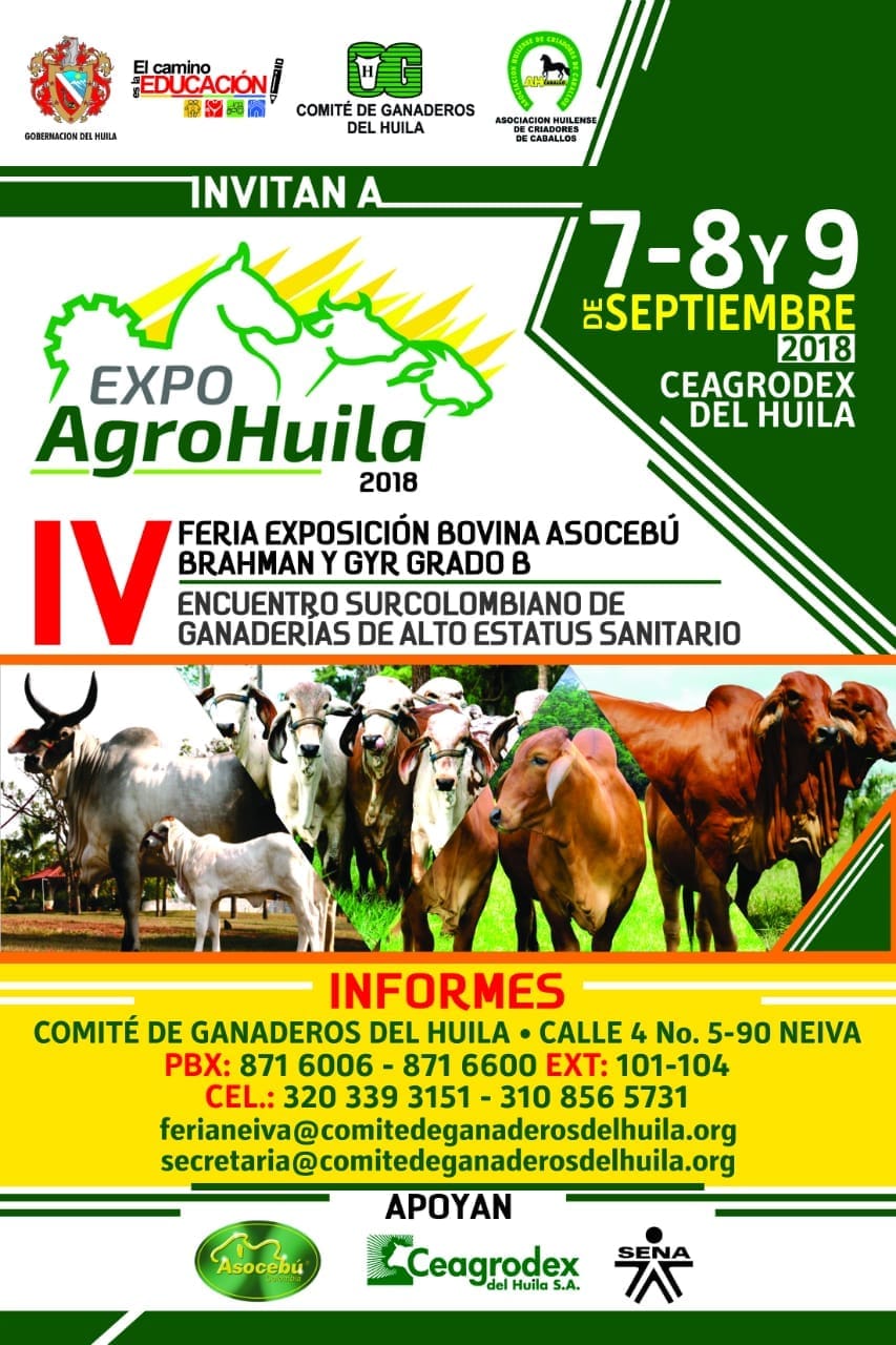 Todo listo para la XXV feria equina y ganadera más importante del Huila 4