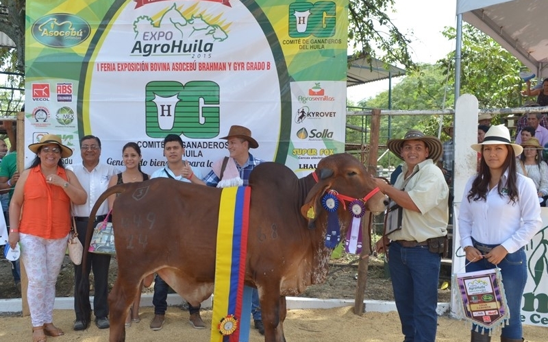 Todo listo para la XXV feria equina y ganadera más importante del Huila 2