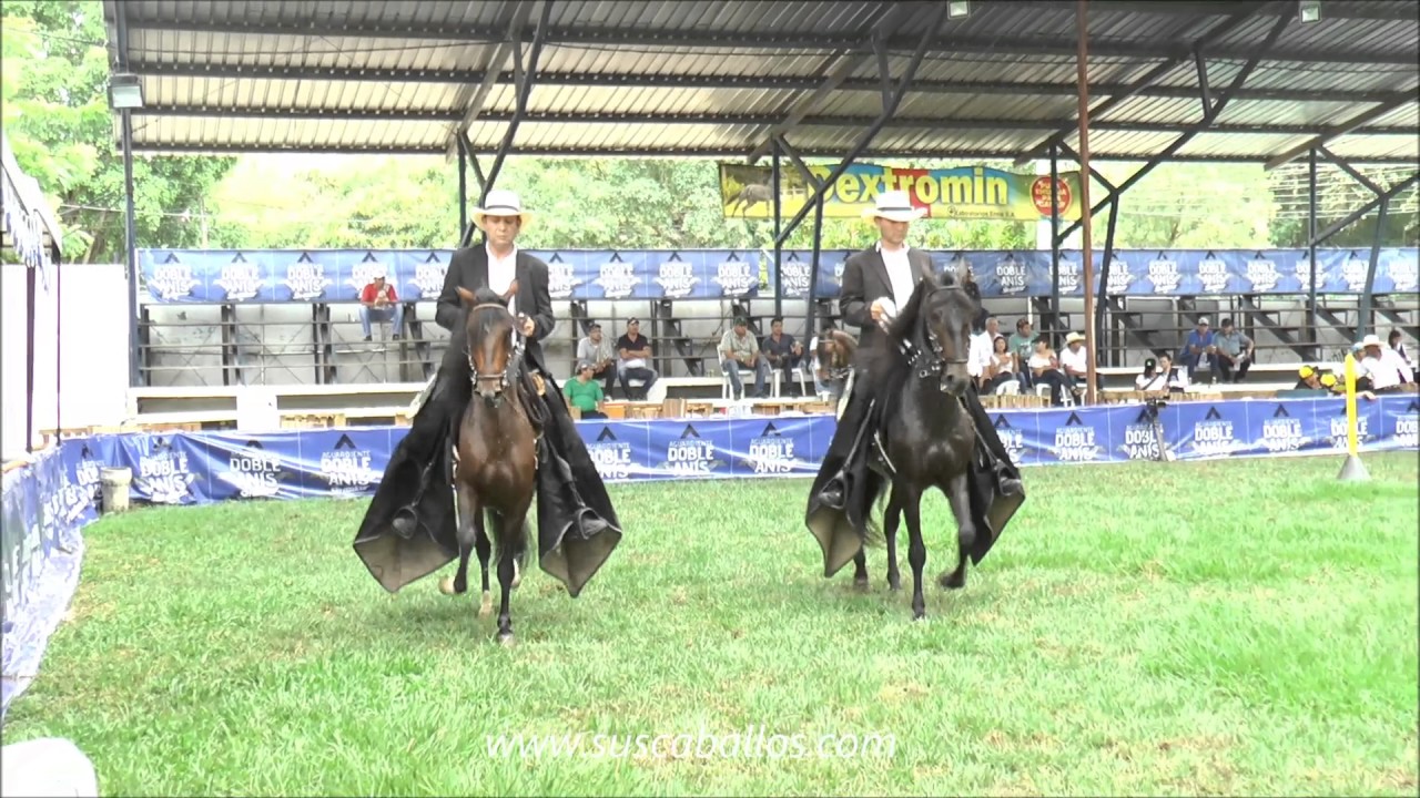 Todo listo para la XXV feria equina y ganadera más importante del Huila 6