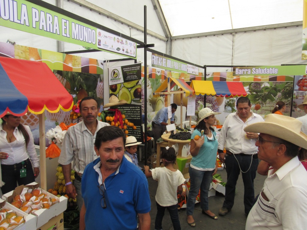 Todo listo para la XXV feria equina y ganadera más importante del Huila 3