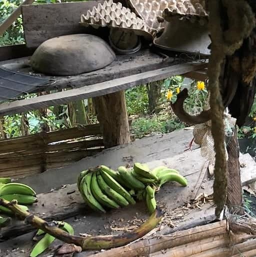 Tres adultos mayores que viven en total abandono en zona rural de Neiva, claman por solidaridad 3