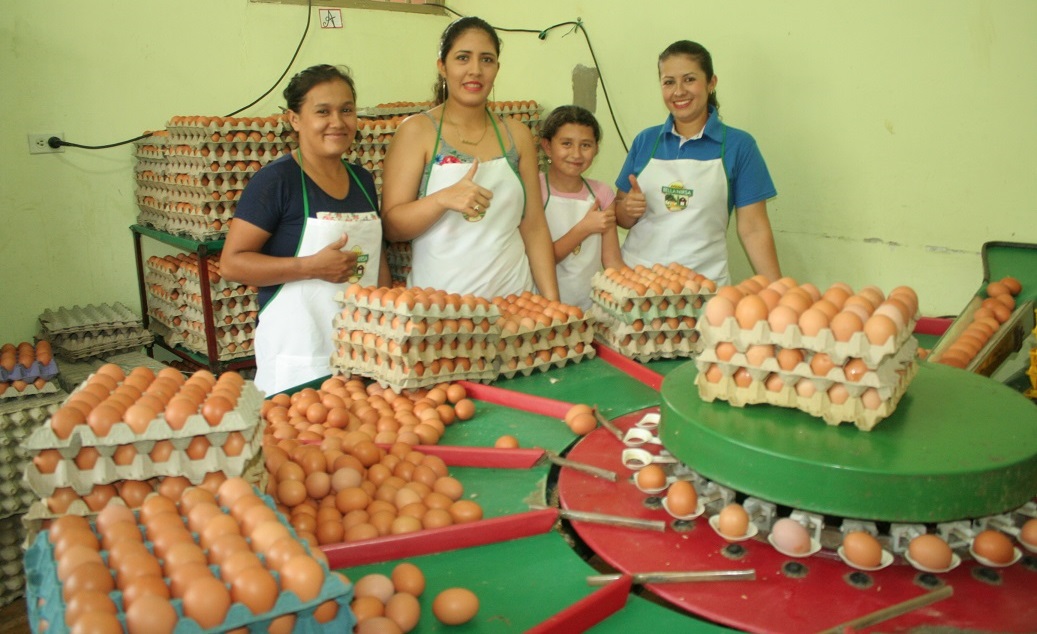 Destacan apoyo de Enel-Emgesa al emprendimiento y la creación de empresa en el Huila 4
