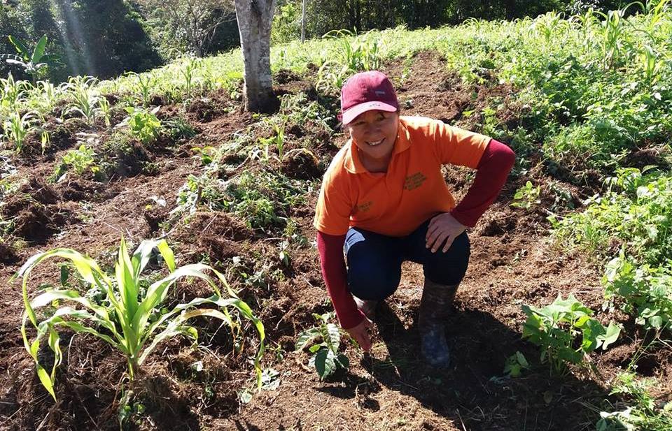 Mujeres cafeteras de La Plata producirán cafés orgánicos en 2019 2