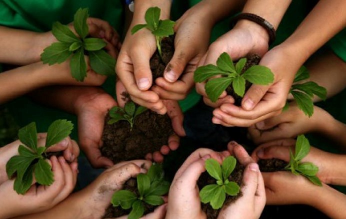 Para liderar la producción agropecuaria, sostenible y orgánica, está en el Huila AiB 1