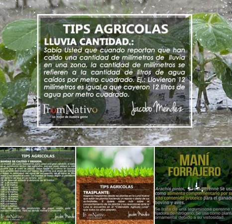 Para liderar la producción agropecuaria, sostenible y orgánica, está en el Huila AiB 7