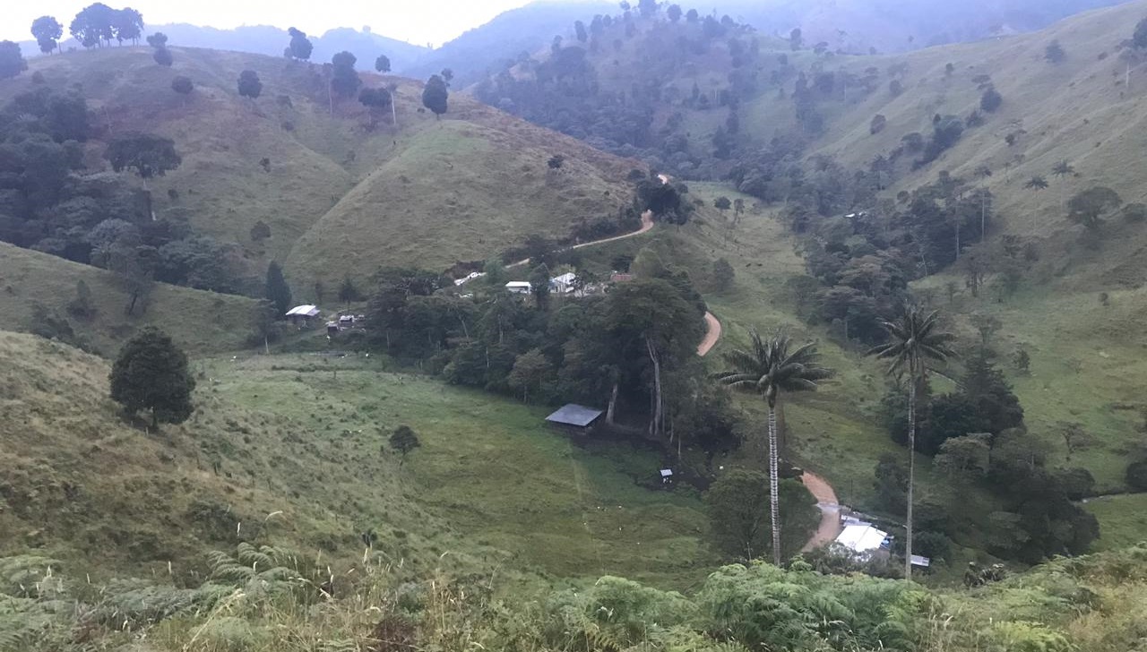 Aplican extinción de dominio a presuntos testaferros de las Farc en Baraya Huila 3