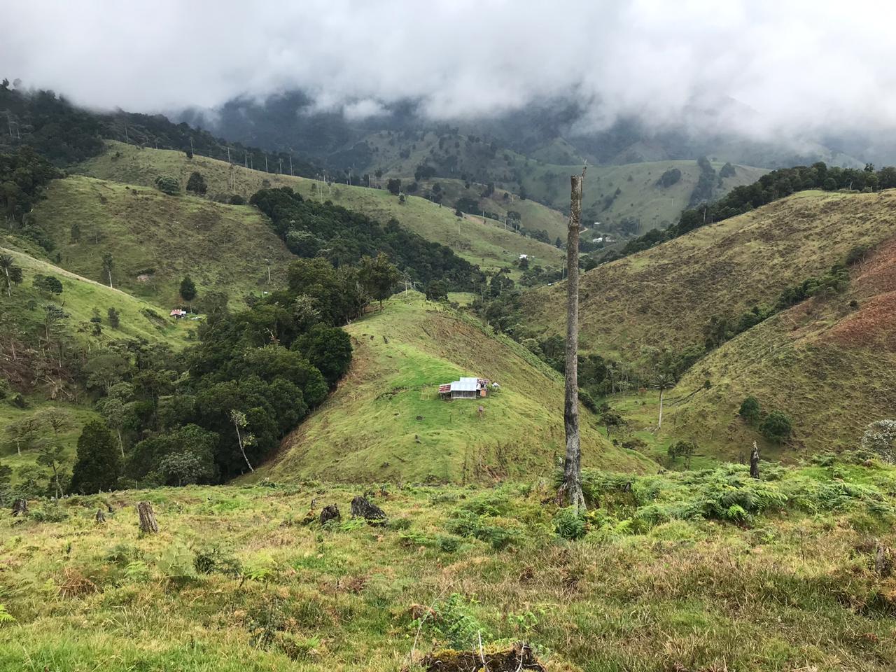 Aplican extinción de dominio a presuntos testaferros de las Farc en Baraya Huila 1