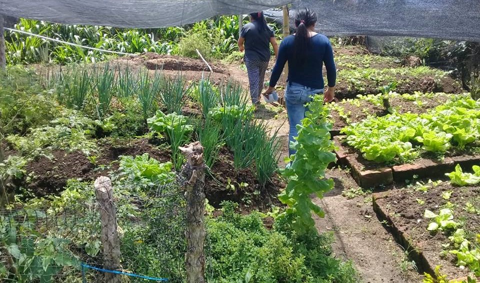 Proyecto de seguridad alimentaria con población discapacitada en San Agustín 2