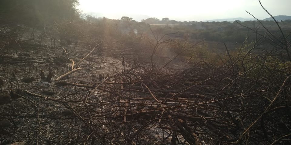 Incendios de cobertura vegetal afectaron terrenos en Suaza y Campoalegre 5