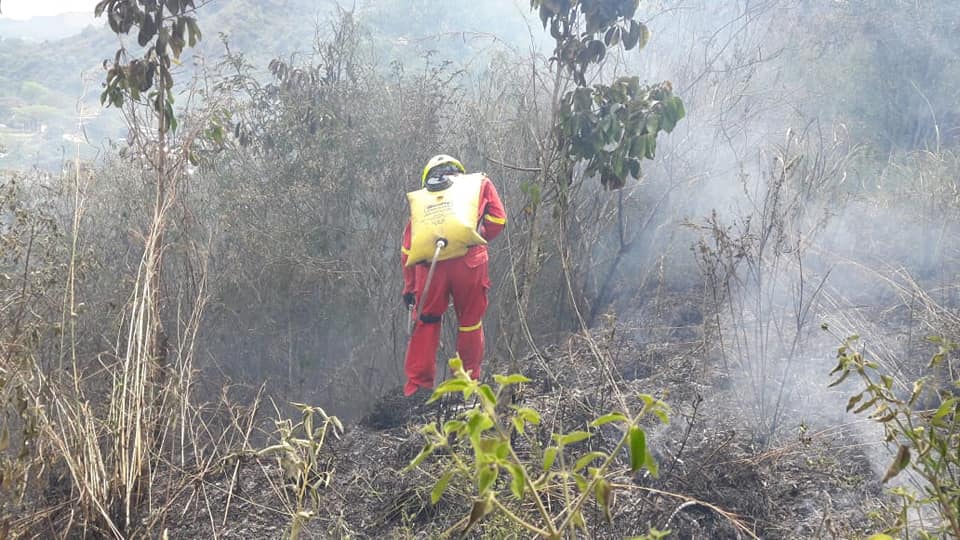 Incendios de cobertura vegetal afectaron terrenos en Suaza y Campoalegre 3