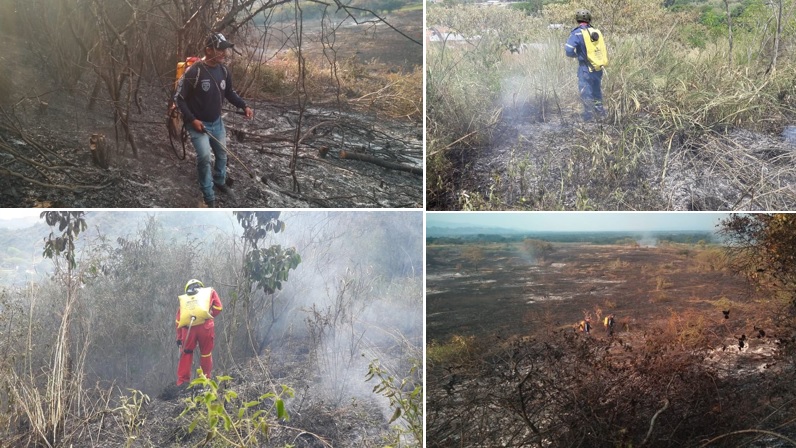 Incendios de cobertura vegetal afectaron terrenos en Suaza y Campoalegre 1