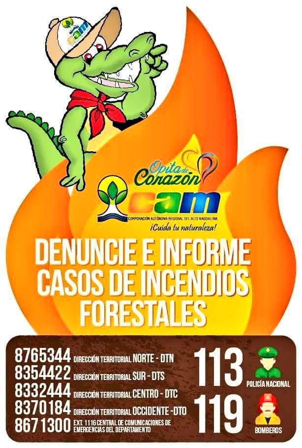 Preocupación por incremento de incendios de cobertura en el Huila 3