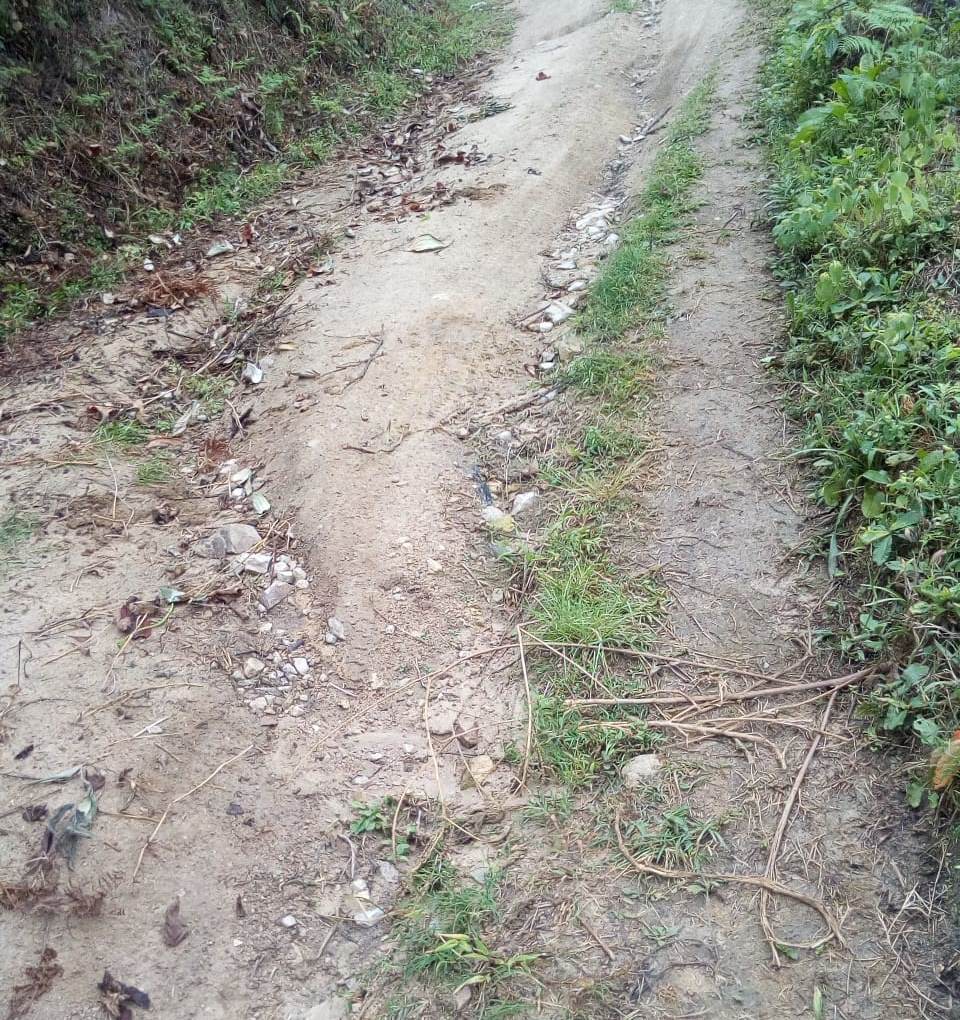 En vereda de Timaná, comunidad asume la reparación de su carretera 2