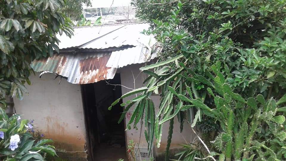 Claman solidaridad para una adulta mayor y su hijo discapacitado en Timaná 3