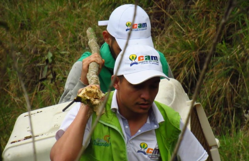 Liberación de fauna silvestre se cumplió en áreas protegidas del Huila 1