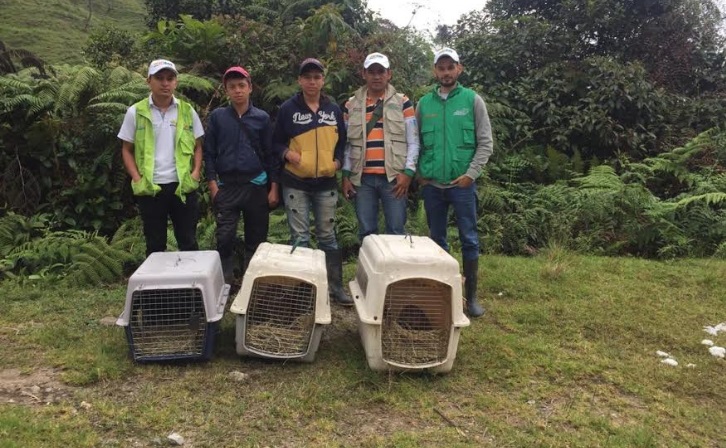 Liberación de fauna silvestre se cumplió en áreas protegidas del Huila 3