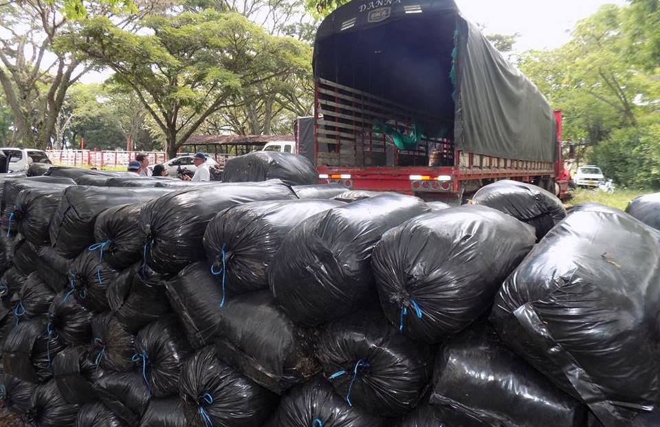Ganaderos de Paicol recibieron apoyo alimenticio para sus animales 2