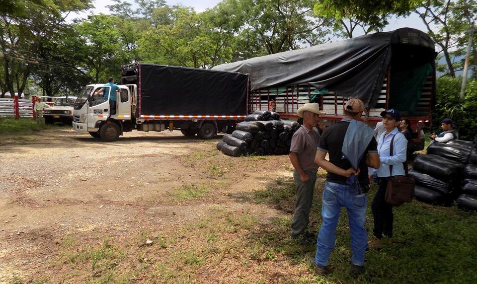 Ganaderos de Paicol recibieron apoyo alimenticio para sus animales 3