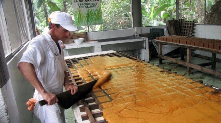 Paneleros de Isnos al borde de la crisis por bajos precios de su producto 4