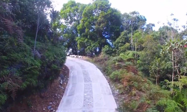 Obras de pavimentación vial rural, fueron entregadas a comunidades de Palermo 2