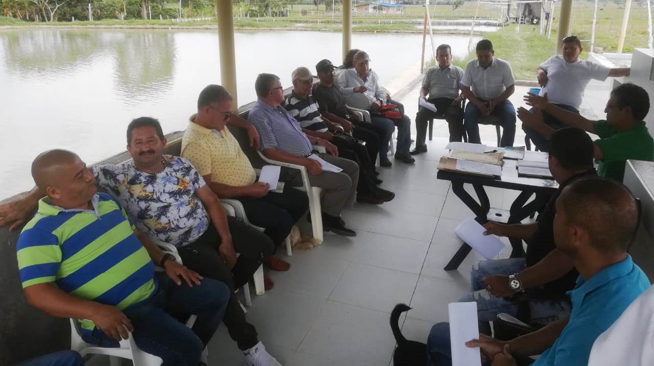Reserva de las Fuerzas Militares de Pitalito aún no define candidato a la alcaldía 2