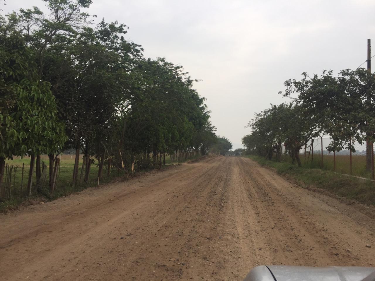 Iniciaron los trabajos de pavimentación de la vía de ingreso al Aeropuerto Contador de Pitalito 2