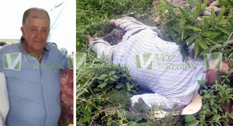 Agricultor timanense murió víctima de un ataque de abejas africanizadas 1