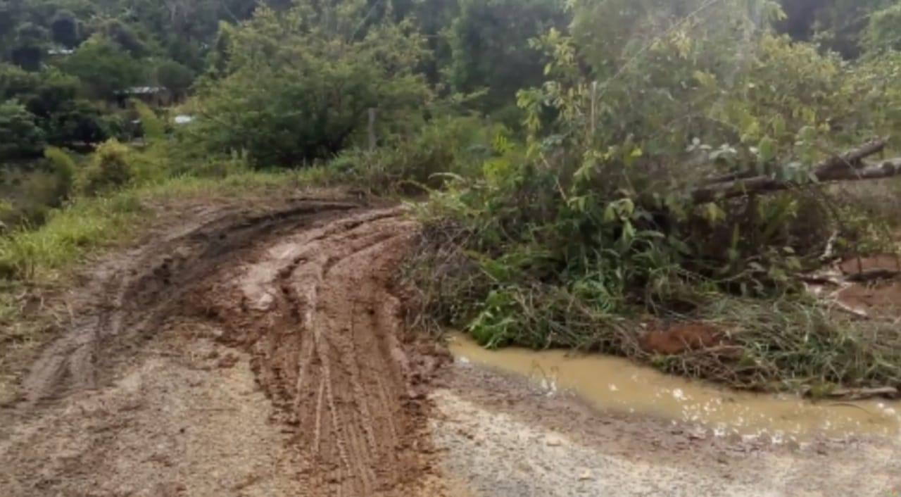 Convocan minga para recuperar la vía entre Palermo y Guásimos 3