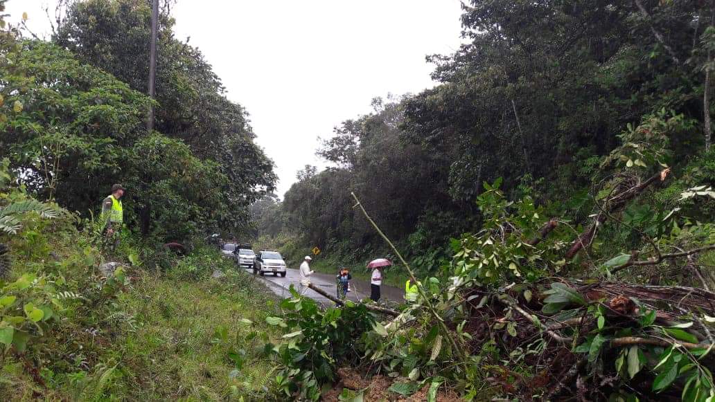 Derrumbes en la vía, limitan movilidad hacia Caquetá y Putumayo 4