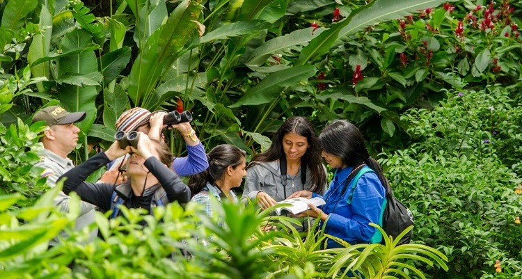 Nuevas especies de aves, fueron registradas en el Huila 1