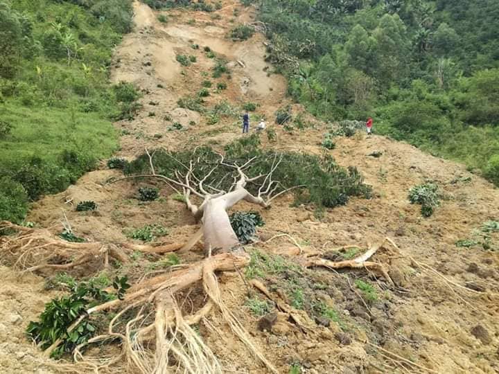 Emergencia en San Adolfo Acevedo por inmenso deslizamiento de tierra 1