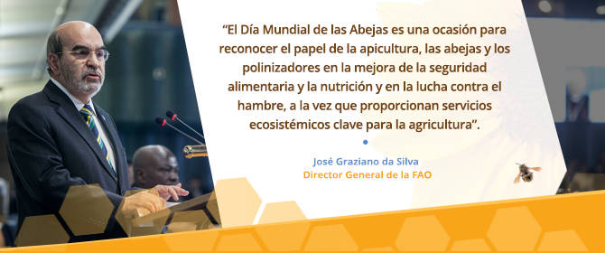Celebración especial del Día Internacional de las Abejas en Oporapa 3