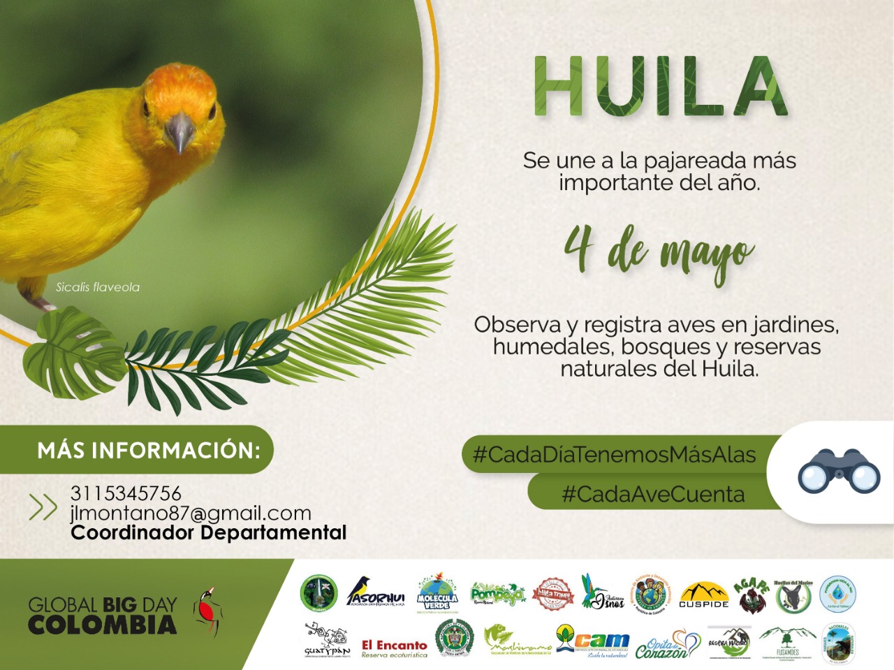Huilenses a “pajarear” el 4 de mayo en el Global Big Day 4