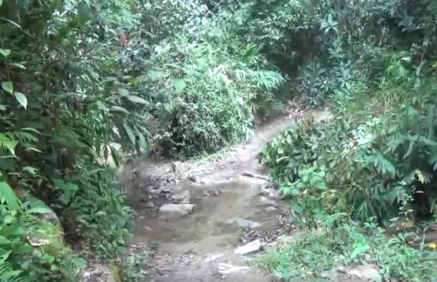 Avanzan obras de apertura vial en la vereda La Independencia de La Plata 3