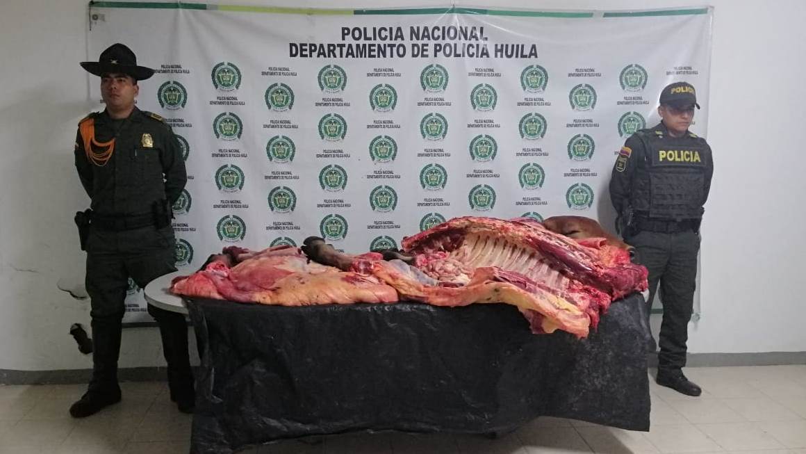 Gran cantidad de carne bovina ilegal, fue incautada en La Plata 1